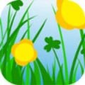 草莓秋葵菠萝蜜黄瓜丝瓜榴莲