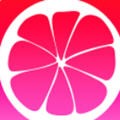 石榴视频app下载安装无限看最新版