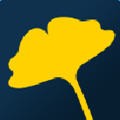 yellowduck.8088